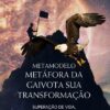 Metáfora da Gaivota Técnica de PNL Guiada para Motivação e Sucesso